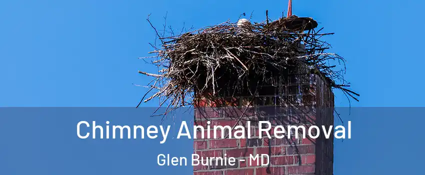  Chimney Animal Removal Glen Burnie - MD