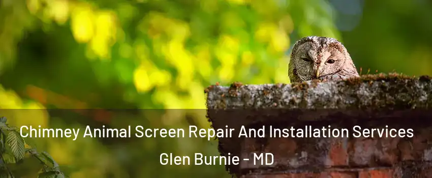  Chimney Animal Screen Repair And Installation Services Glen Burnie - MD