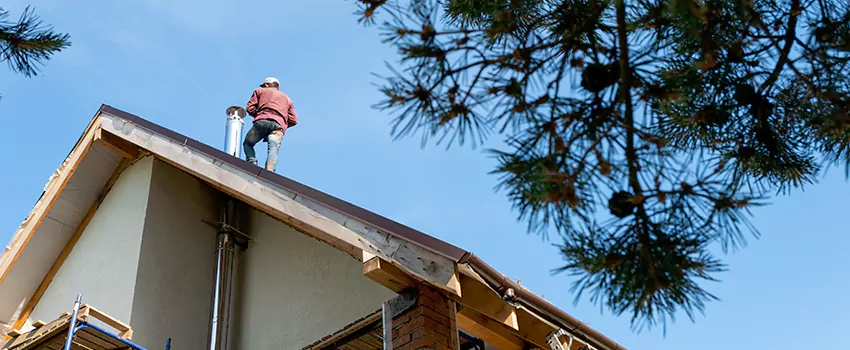Birds Removal Contractors from Chimney in Glen Burnie, MD