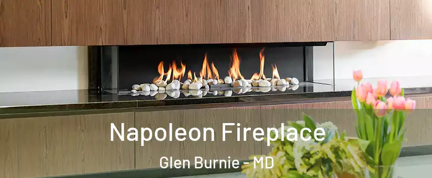  Napoleon Fireplace Glen Burnie - MD
